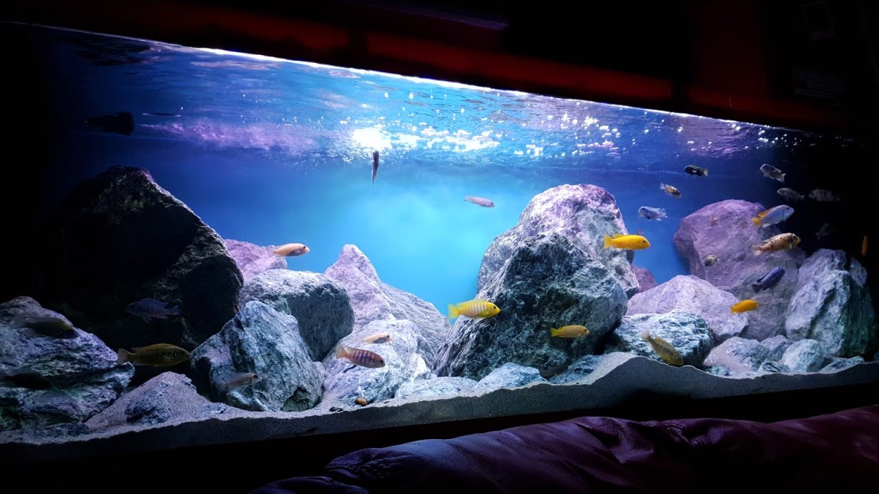 Vasca Malawi 200x60x60