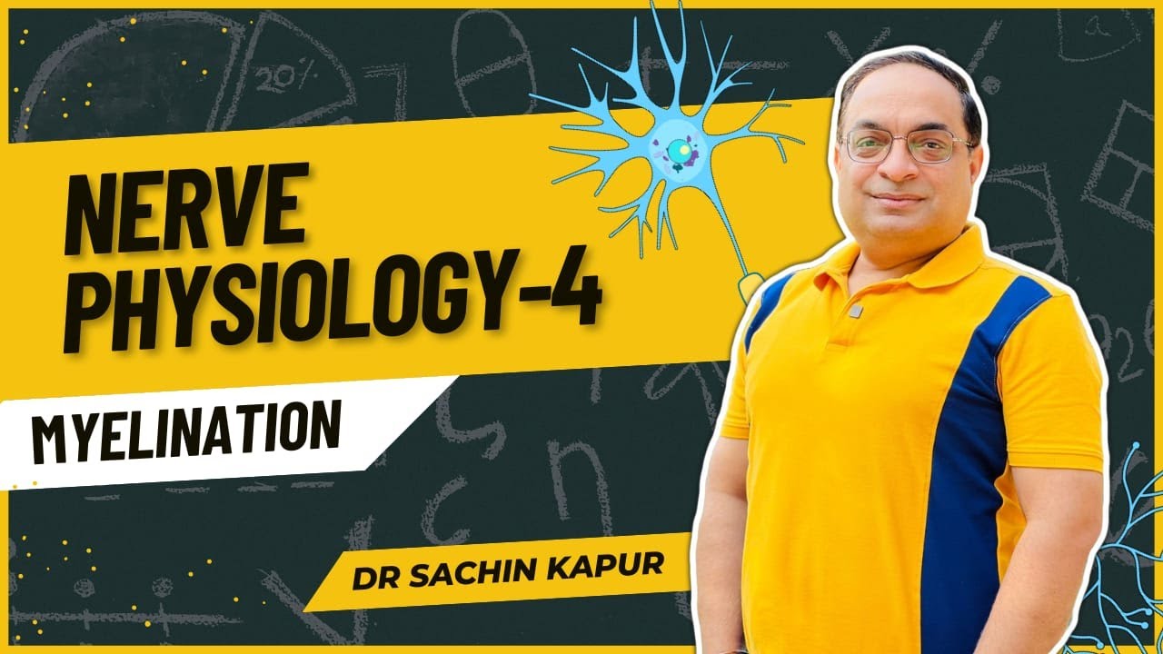 MBBS First Year | Nerve Physiology | Myelination | Dr Sachin Kapur | AIIMS