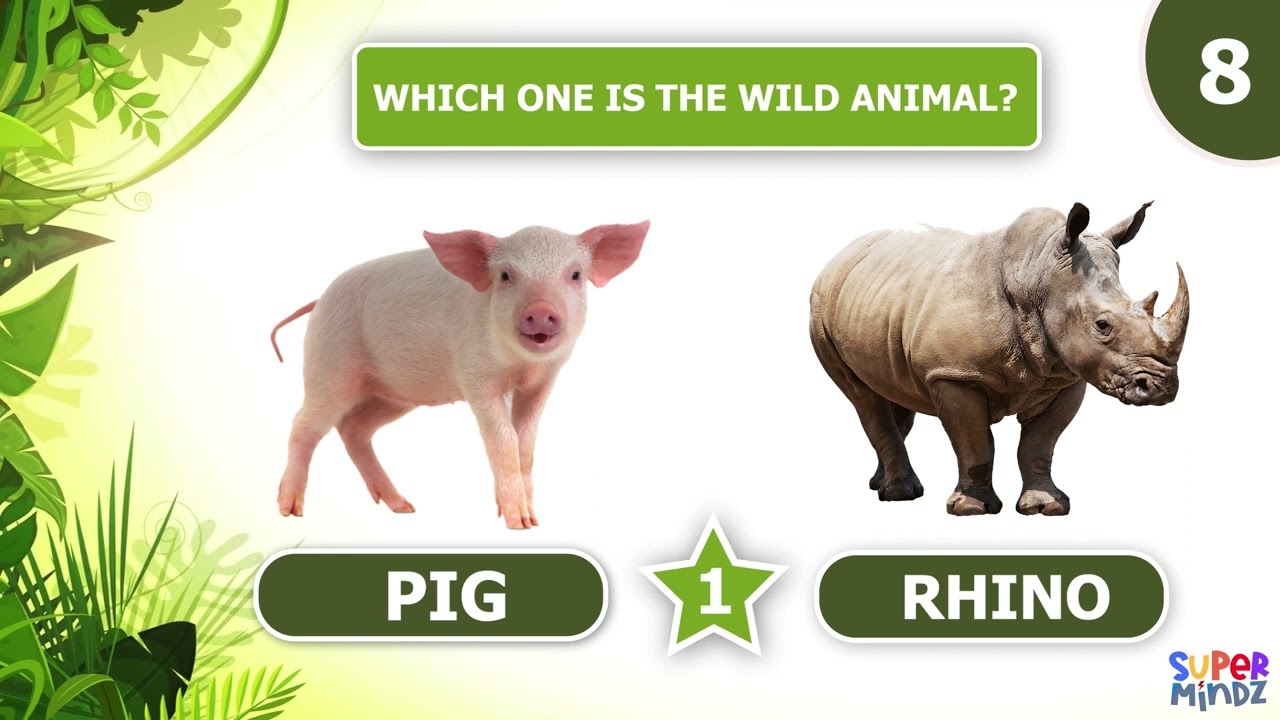 WHICH ONE IS A WILD ANIMAL ? Guess the right one | For kids | SuperMindz