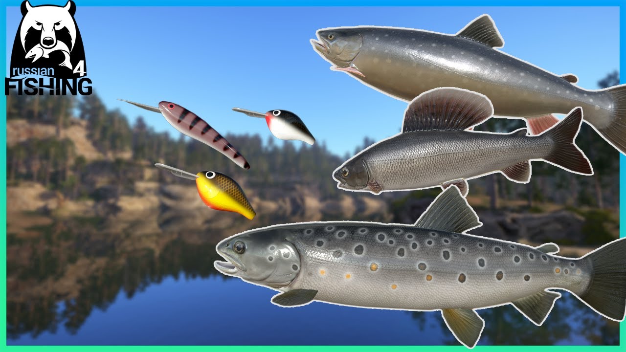 How to Troll Fish Guide for Kouri Lake - Russian Fishing 4 (RF4)