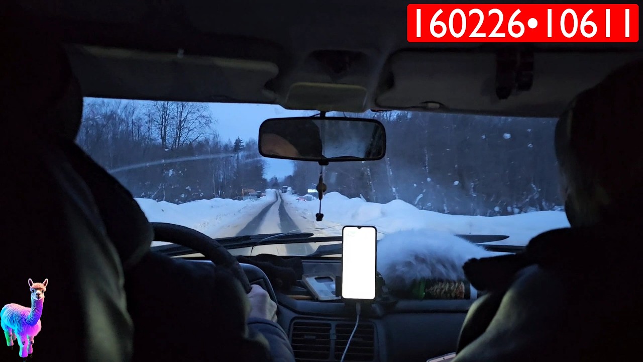 160226•10611🦙Альпакины Моменты🔴Дорога в Красноармейск