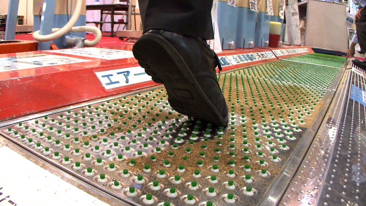 Suction Mat Cleans Shoe Soles #DigInfo