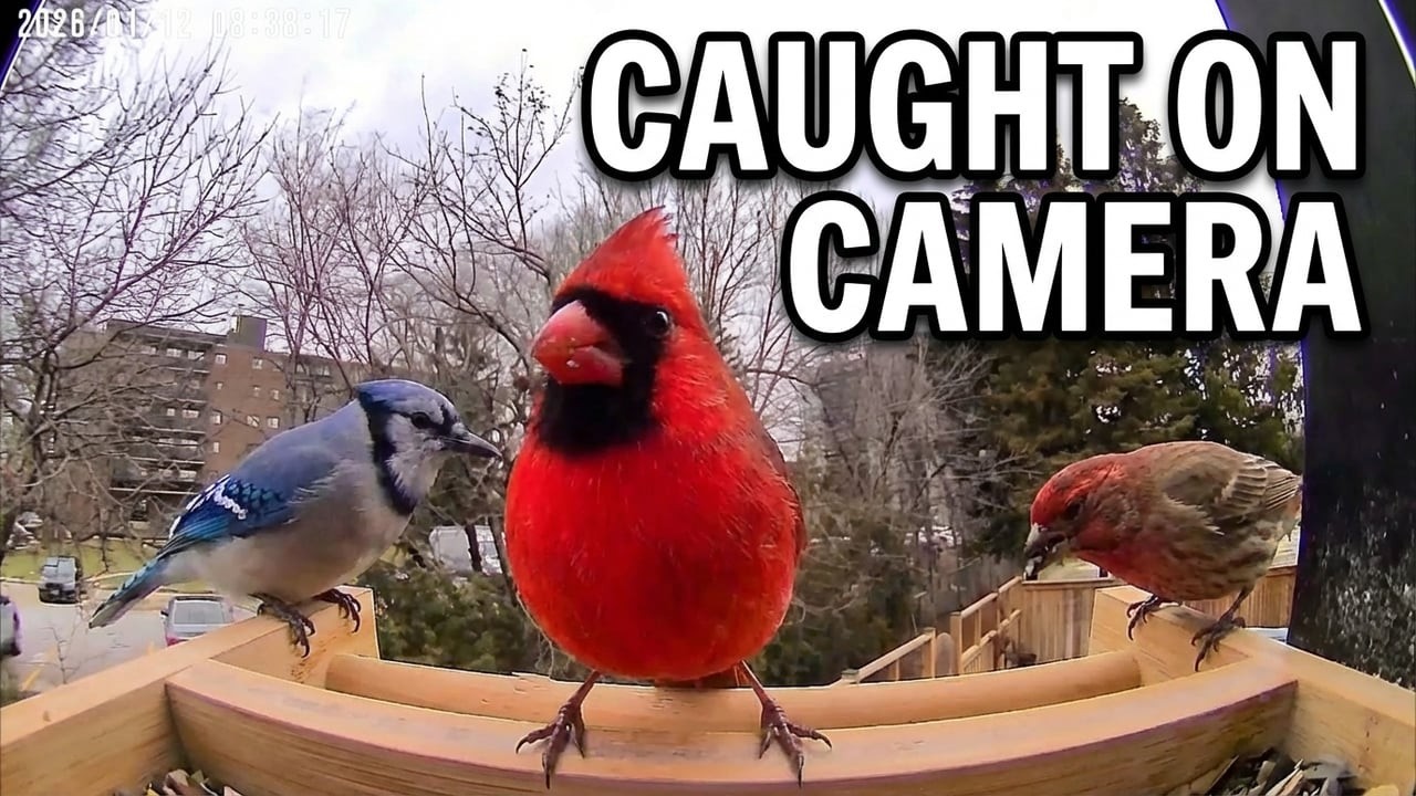 I caught this on camera 📸