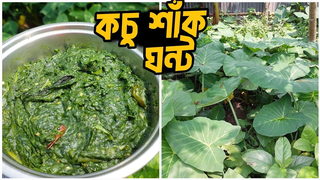 কচু শাক ঘন্ট | এমন স্বাদ আগে কেউ পায়নি! | Traditional Kochur Shak Recipe | Bengali Village Style