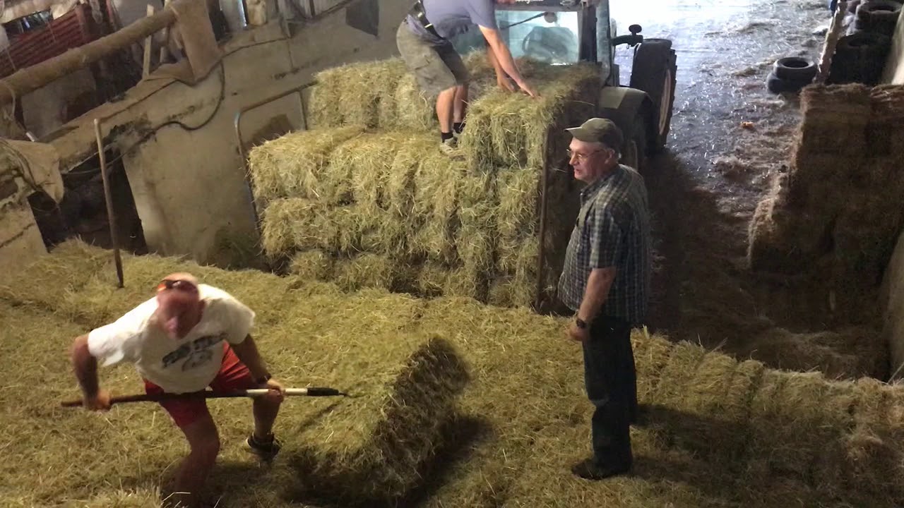 Stacking the hay bales in the barn