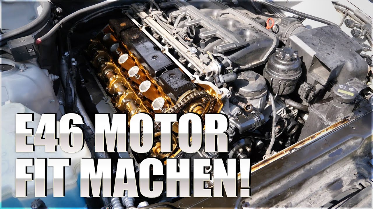 BMW E46: KGE, Ventildeckeldichtung, Vanos, Servoöl Gehäuse, Ölfiltergehäusedichtung, Wasserpumpe