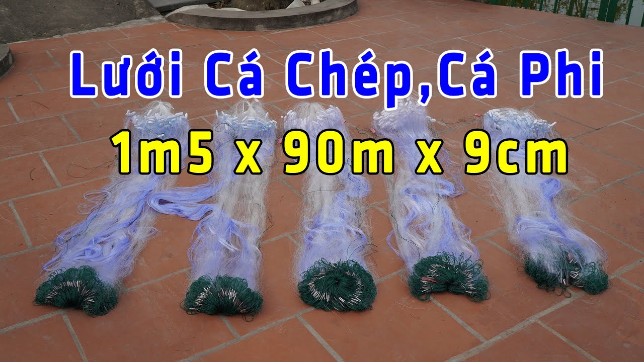 Lưới Đ&aacute;nh C&aacute; 3 M&agrave;n | C&aacute; Phi , C&aacute; Ch&eacute;p Từ 5 Lạng | Cao 1m5 x 90m x 9cm || Lưới đ&aacute;nh c&aacute; a trung