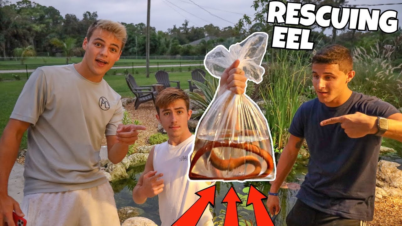 Saving EEL From FISH MARKET?! (RESCUE MISSION)