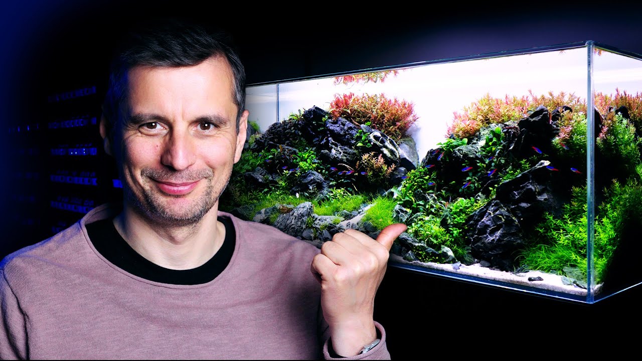 The Calm Maintenance Session of the BRAZILIAN-STYLE Aquascape | Monday Maintenance Movies
