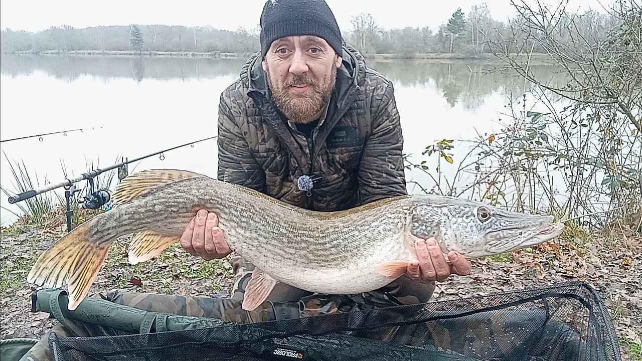 Un brochet de 1m15 à la bouillette, improbable.
