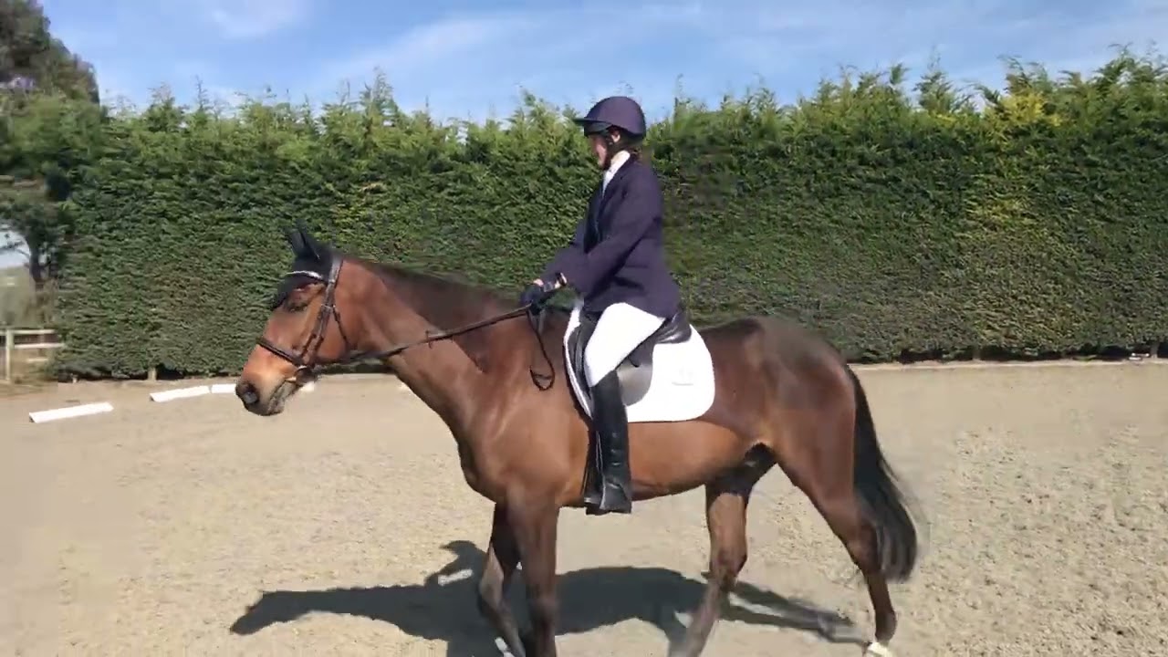 First Dressage Outing - Intro 1 (2024) 64.55% - 12th April 2025