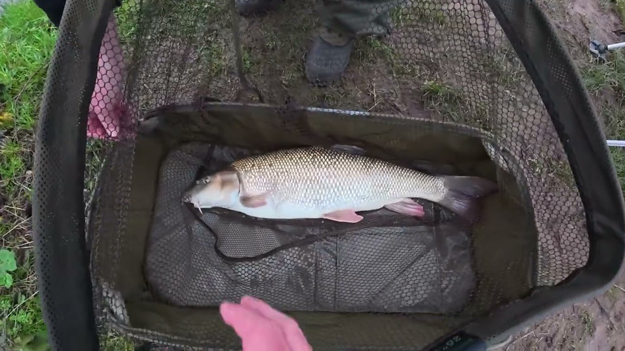 Barbel Fishing Newark Dyke