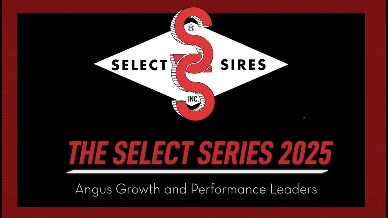 The 2025 Select Series: Angus Growth and Performance Leaders