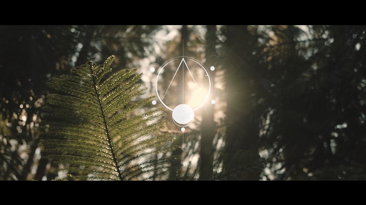 We Are Becoming Ghosts - Dzat | Official Teaser