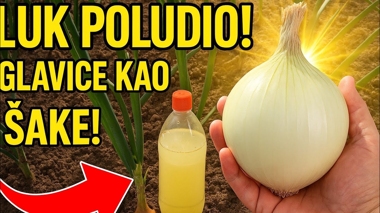 OGROMNE GLAVICE LUKA – Samo OVO mu treba da poludi!