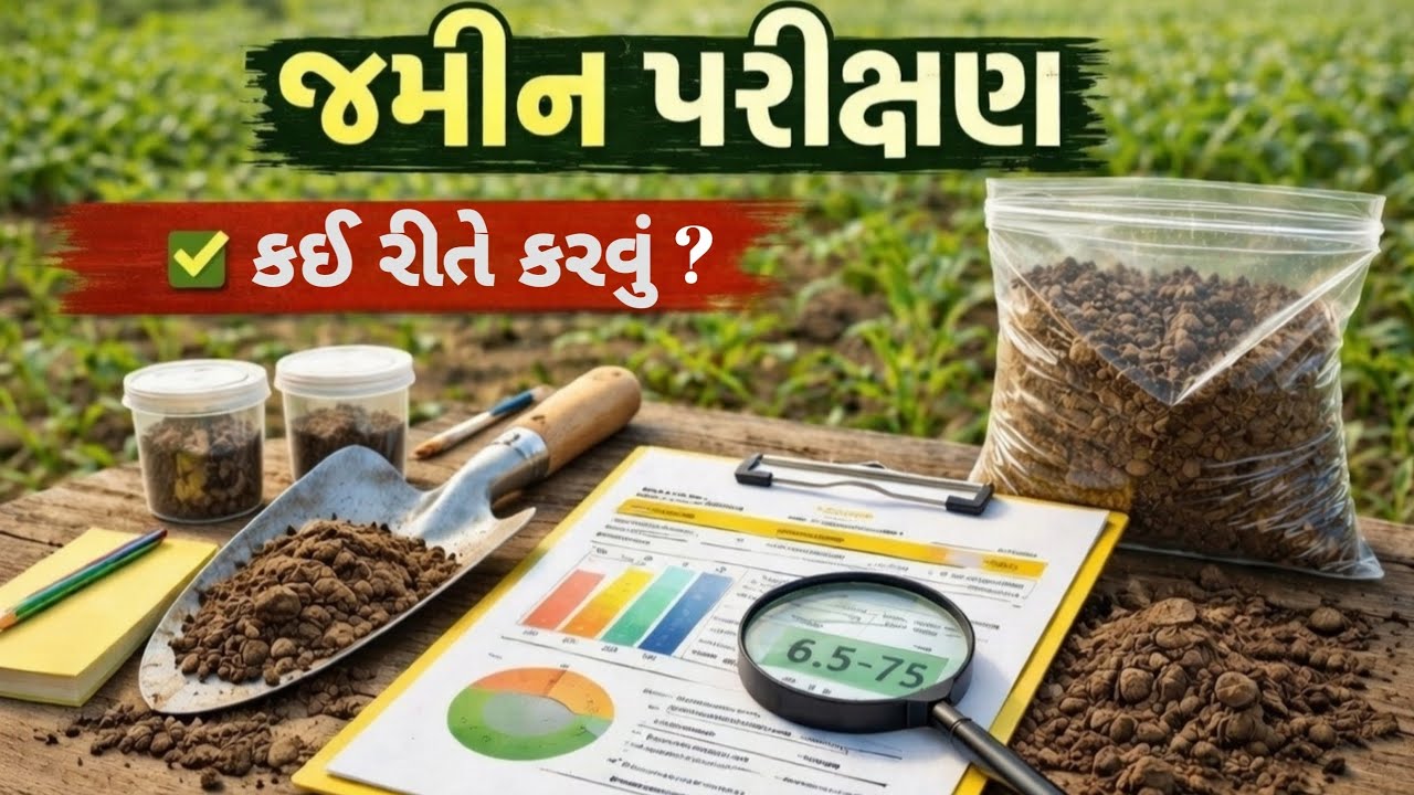 જમીન પરીક્ષણ કેવી રીતે કરવું? | Soil Test સંપૂર્ણ માહિતી | ખેડૂત માટે જરૂરી માર્ગદર્શન