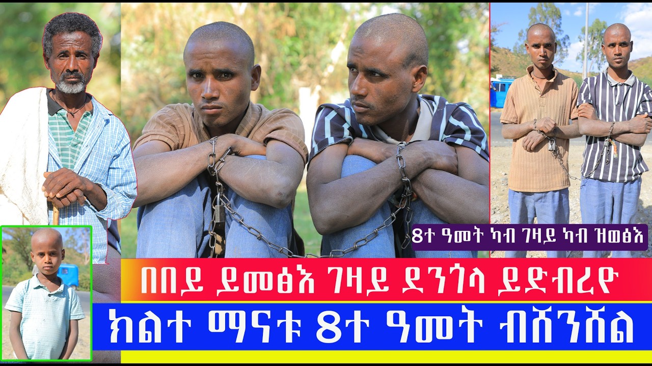 2ተ ማናቱ ደቀይ 8ተ ዓመቶም ብሸንሸል ካብ ዝእሰሩ  ኣነ ውን ካብ ገዛይ ካብ ዝወፅእ 8ተ ዓመተይ በረኻ ኣለኹ  ናብ ገዛይ በበይ ይመፅእ ደንጎላ ይድብረየኒ
