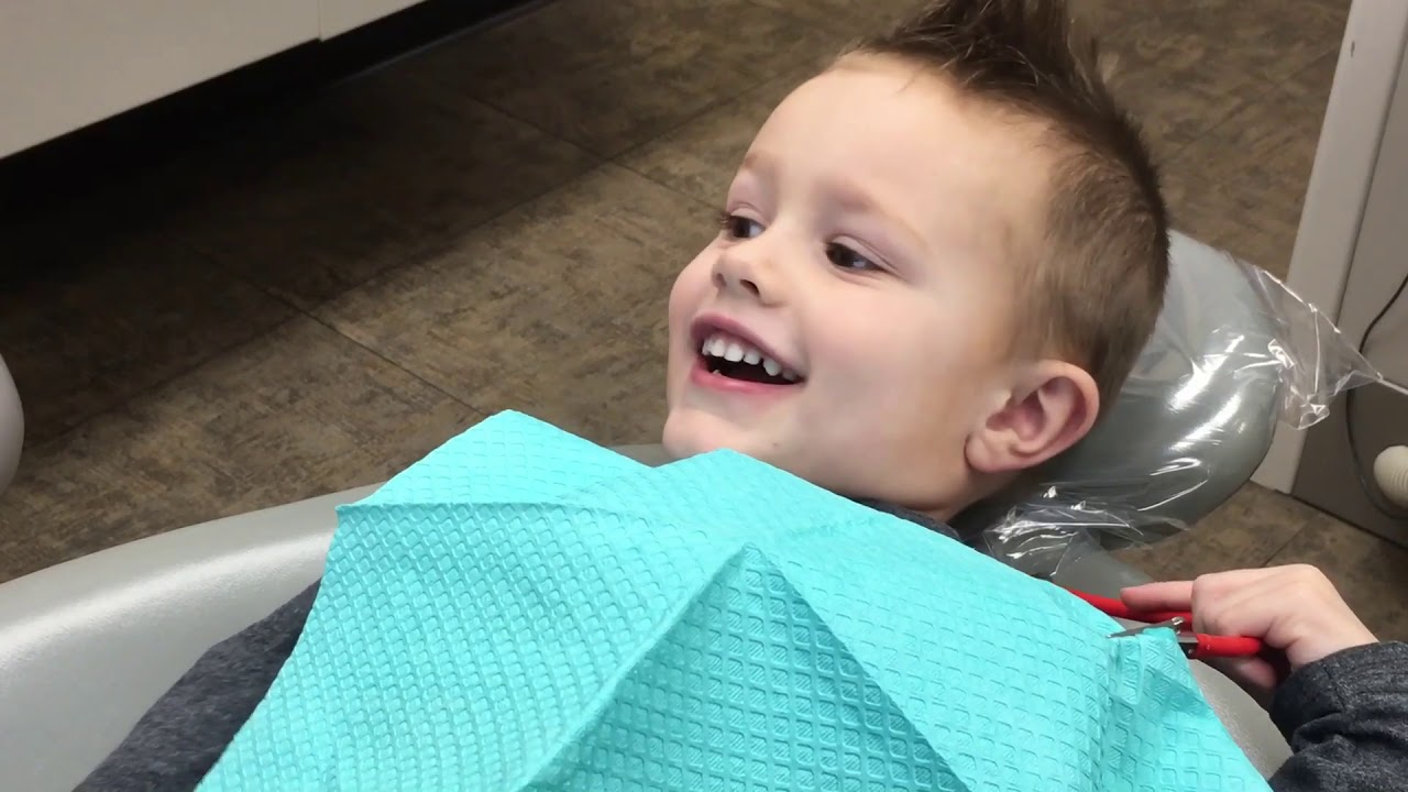 Jax Goes to the Dentist