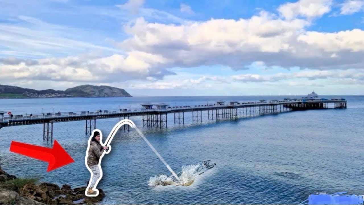 I FISHED under LLANDUDNO PIER❗️U.K. Sea Fishing