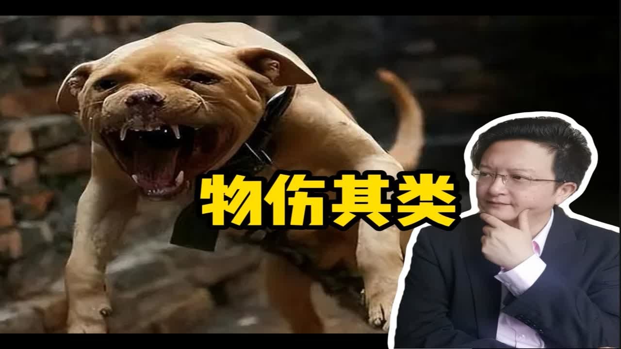 物伤其类。 日本记者来狗肉节采访，看来不太成功的样子。