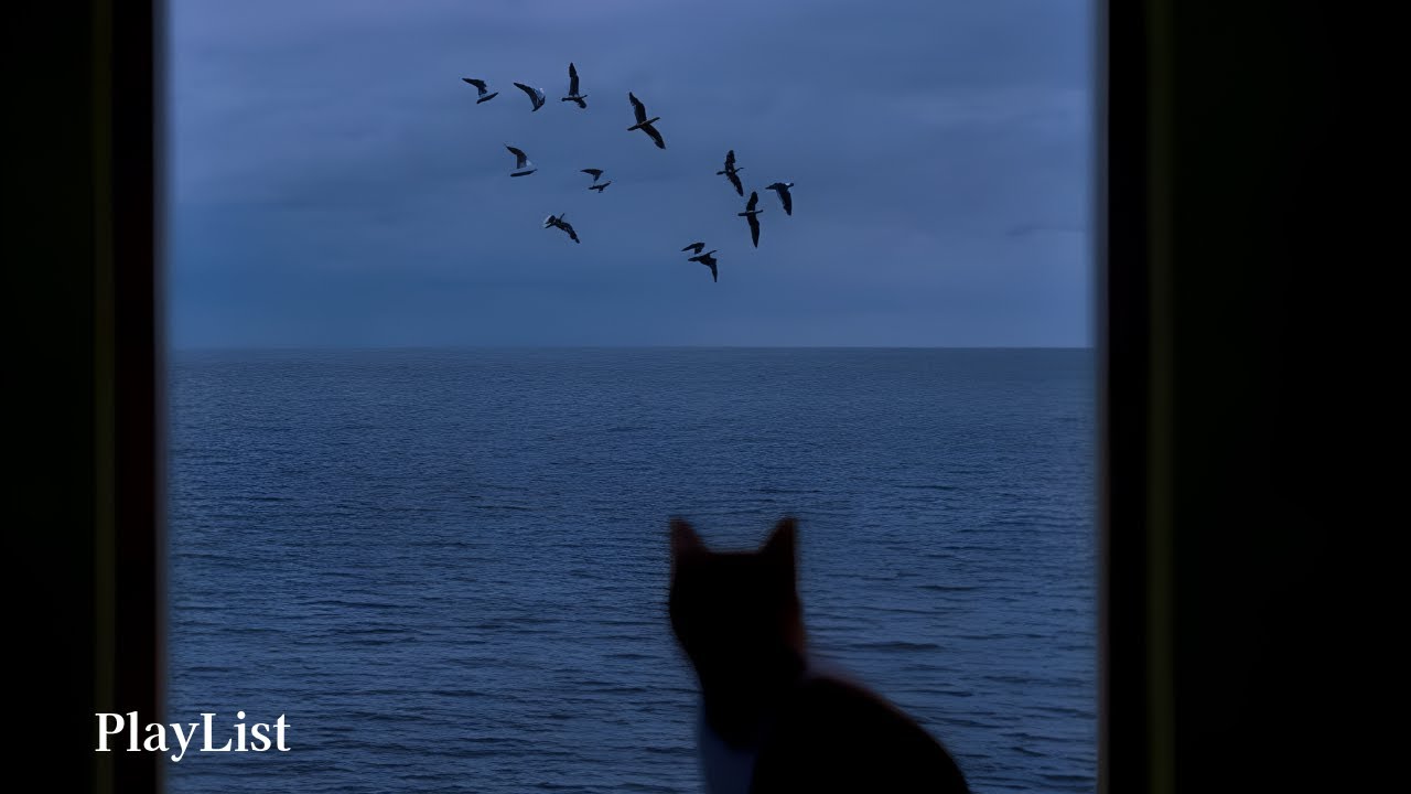 𝗣𝗟𝗔𝗬𝗟𝗜𝗦𝗧 많은 생각에 잠을 이루지 못하는 당신에게 🌙