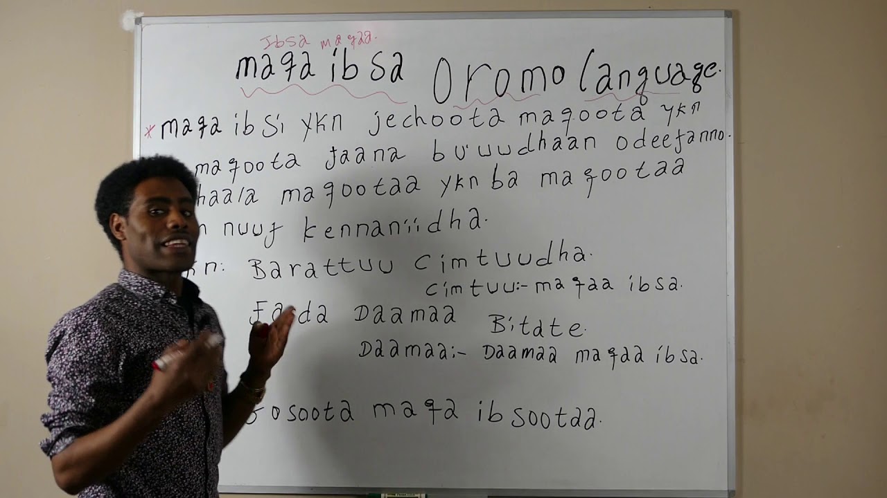 IBSA MAQAA