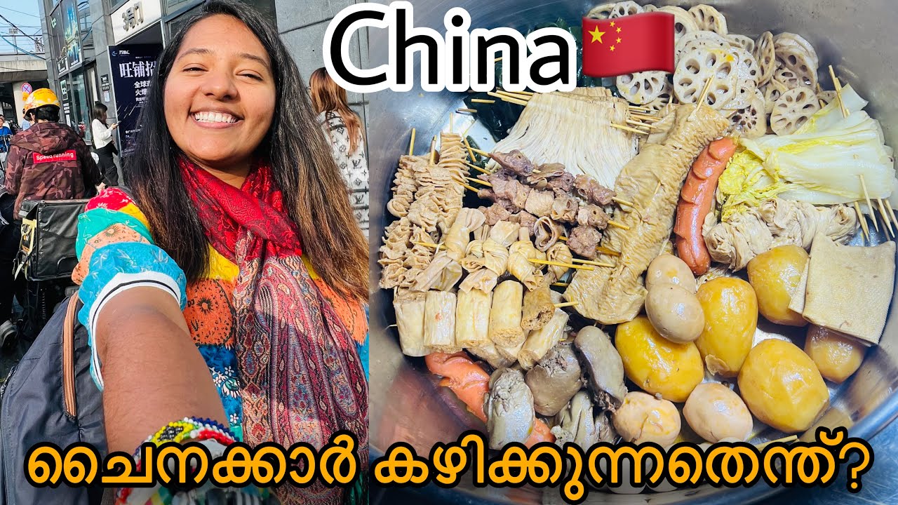 Biggest market in china 🇨🇳/അവസാനം തിരിച്ചു പോകേണ്ടിവന്നു/ Back to India 🇮🇳