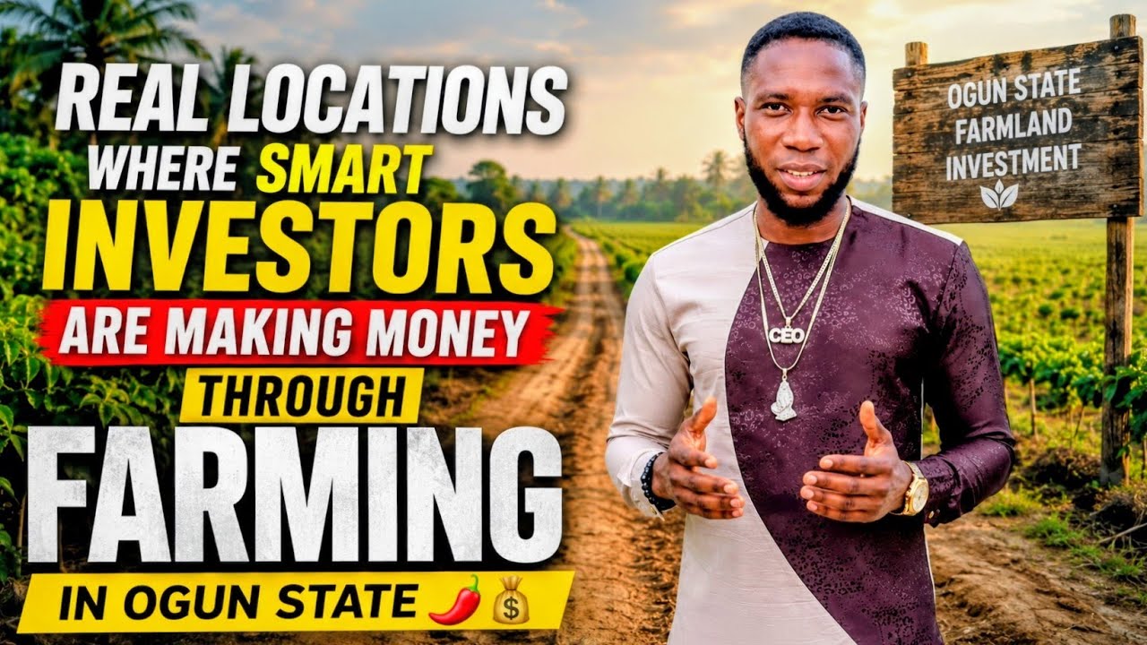 Farmland Prices in Ogun State 2026 | Investment Opportunities Near Lagos