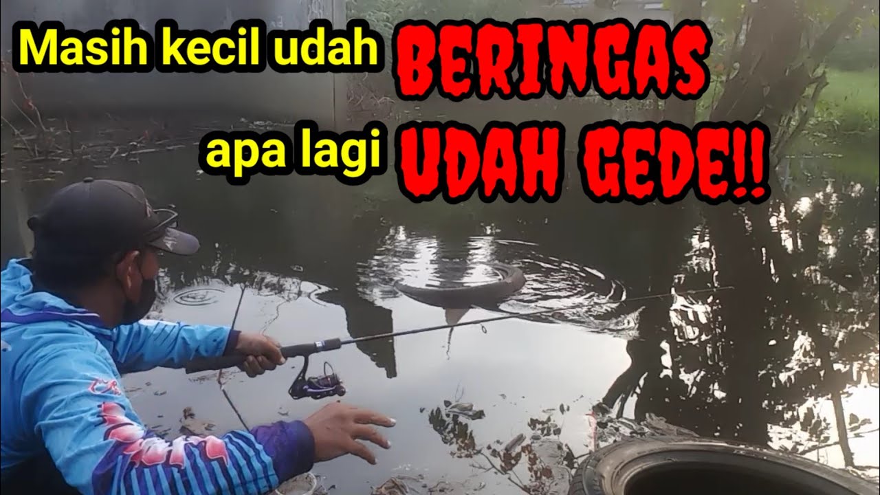 Ada kejutan langka di spot rawa mati#mancingliar#strike#mancingmania@jaddahmancing