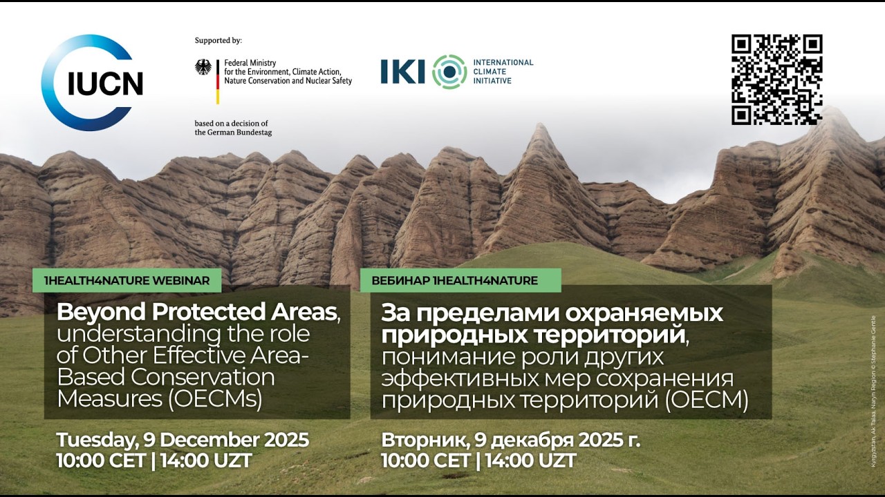Beyond Protected Areas: How OECMs strengthen One Health & support the Global Biodiversity Framework