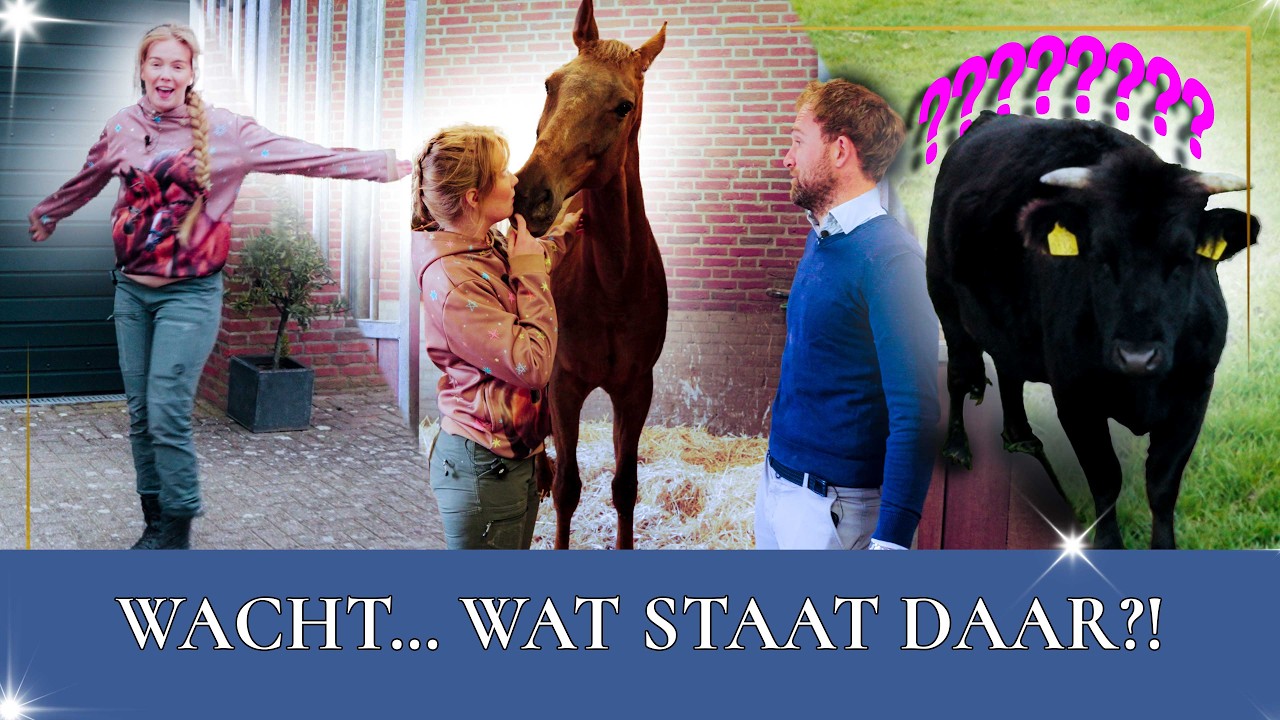 EERSTE KIJKJE bij Esra op stal! 🐴  | PaardenpraatTV