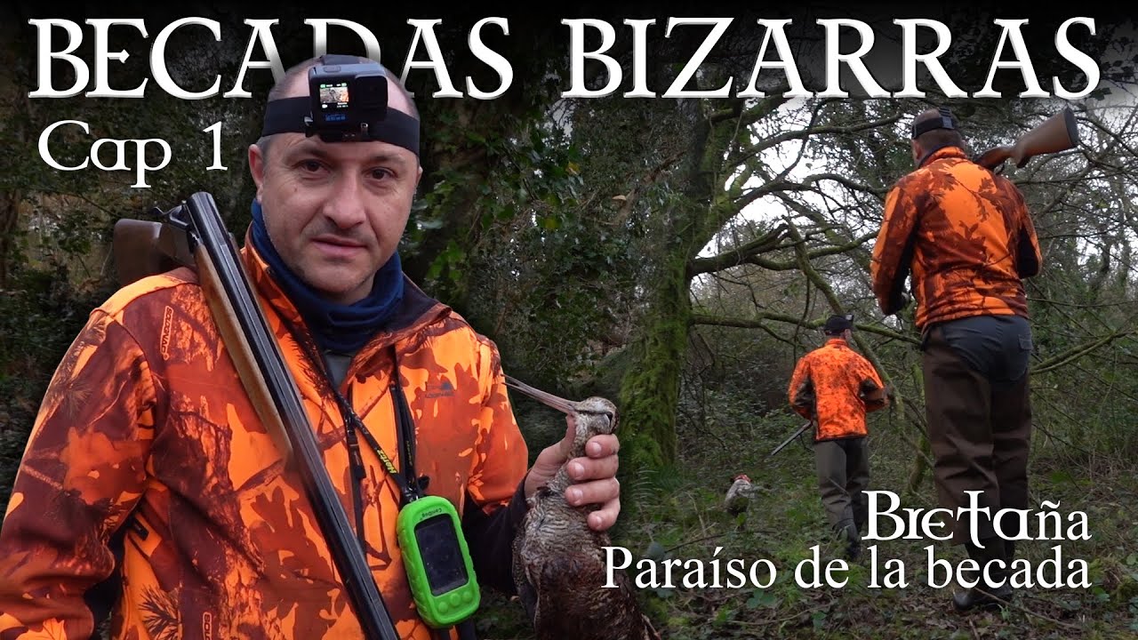 BECADAS BIZARRAS. Cap&iacute;tulo 1 Breta&ntilde;a, para&iacute;so de la becada  (TRAILER)