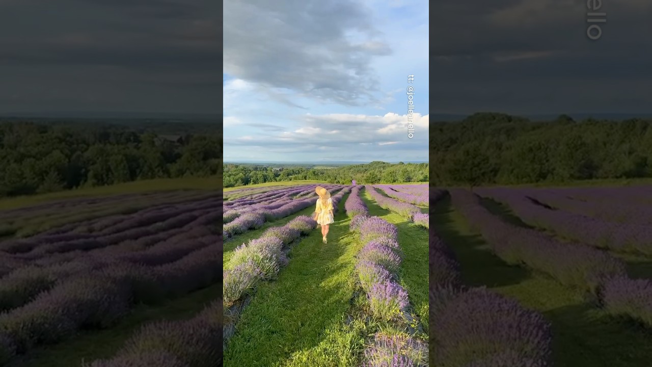 Most beautiful places in Ontario 🇨🇦🤯 #travel #adventure #explore #nature #ontario