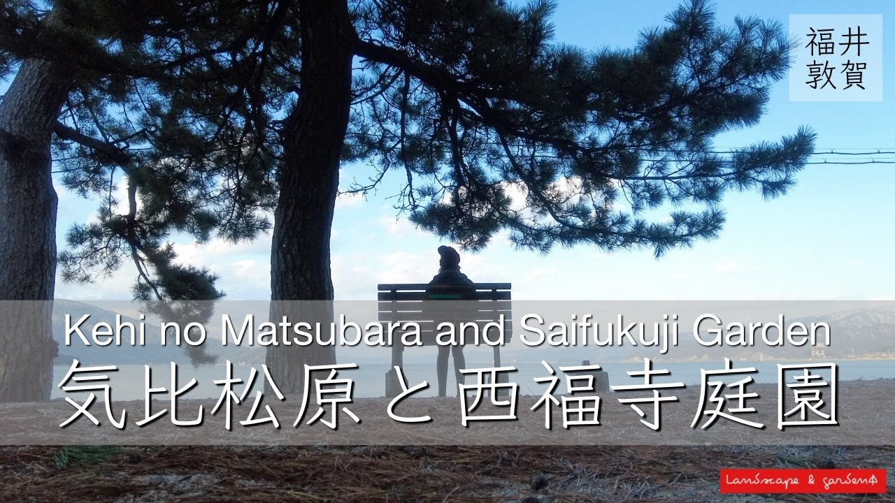 【Trip Japanese garden and landscape】Kehi no Matsubara and Saifukuji Garden/福井県気比松原と西福寺の庭園 日本の美しい海浜風景