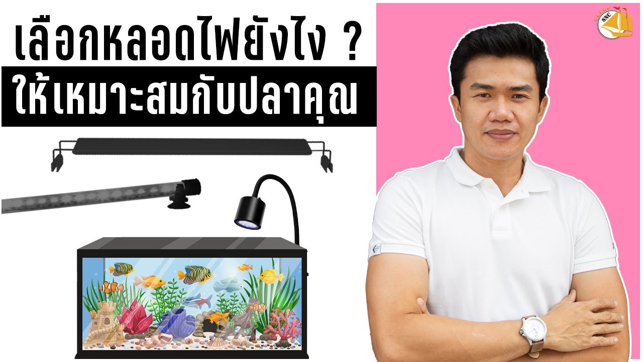 หลอดไฟ เลือกแบบไหนดี ??(ไฟตู้ปลา) - SNC STORY  #ไฟตู้ปลา #ไฟLED #RGB #เลี้ยงปลา #ปลาสวยงาม #ตลาดปลา