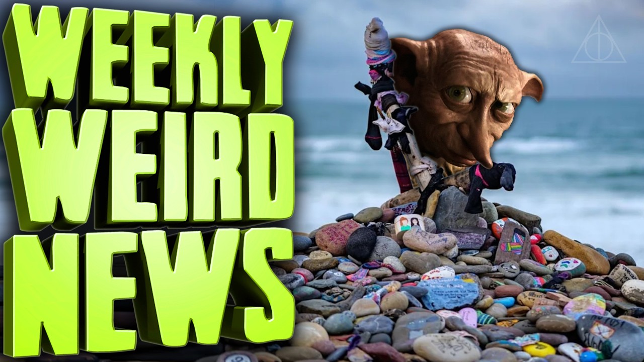 Dobby's Grave Desecration - Weekly Weird News