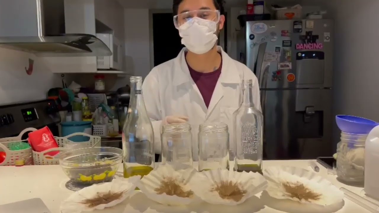 Extracci&oacute;n de Piperina