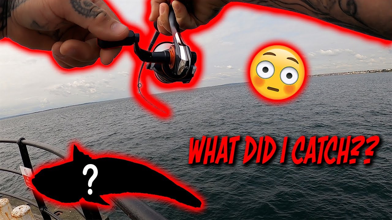 I Caught A Venomous Fish From A PUBLIC Pier!! LRF Saltwater Fishing!