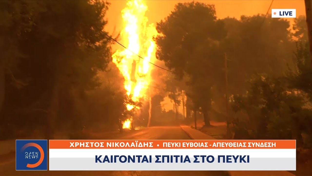 Εφιαλτικές εικόνες στο Πευκί –Στις φλόγες τα σπίτια | Μεσημεριανό δελτίο ειδήσεων 08/08/21 | OPEN TV