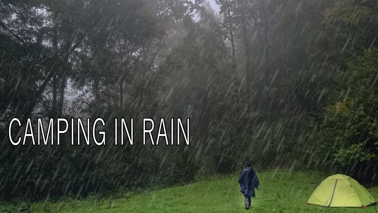 Cu cortul &icirc;n ploaie și ceață | Gătit &icirc;n natură | Camping in RAIN, Bushcraft, Cooking
