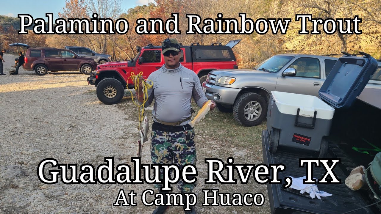Guadalupe River, TX Camp Huaco - Palamino and Rainbow Trout