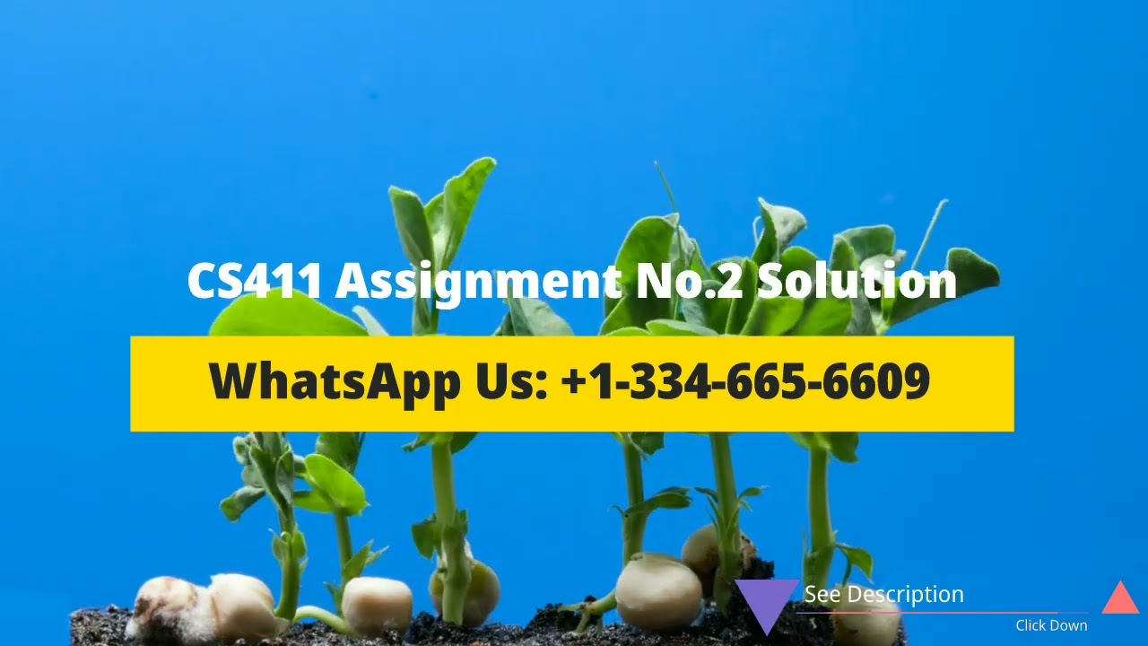 CS411 Assignment No 2 Solution Spring 2022 | CS411 Assignment 2 Solution Spring 2022