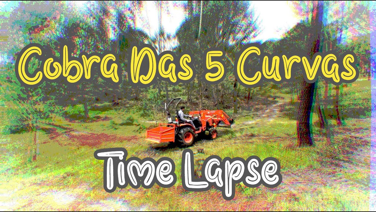 Cobra Das 5 Curvas, Time Lapse