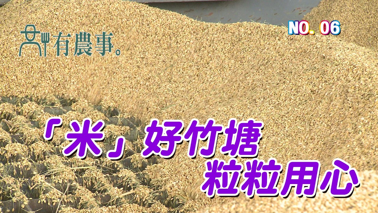 (三大有線)有農事 NO.06 《「米」好竹塘 粒粒用心》