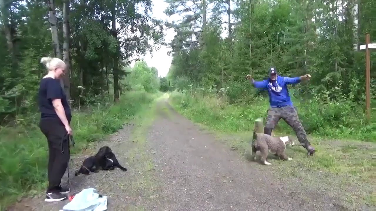 Remmirähjä 