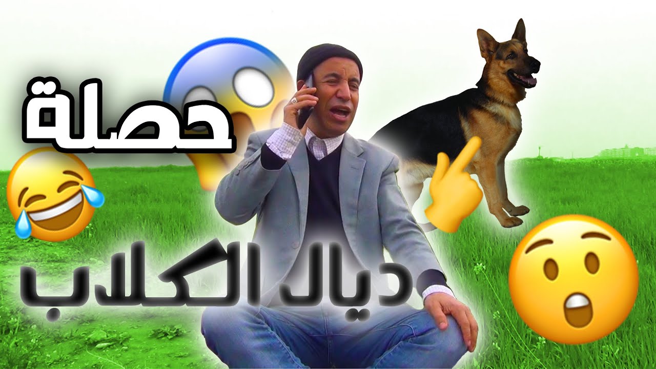 Majok | بو لعايالات حصل متلبس ومراتو عاقت بيه 😂