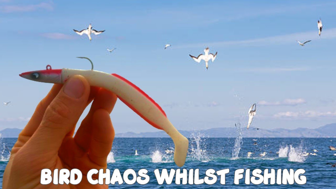 Безумный клев во время ловли на искусственные приманки - Экстремальные условия морской рыбалки - ...