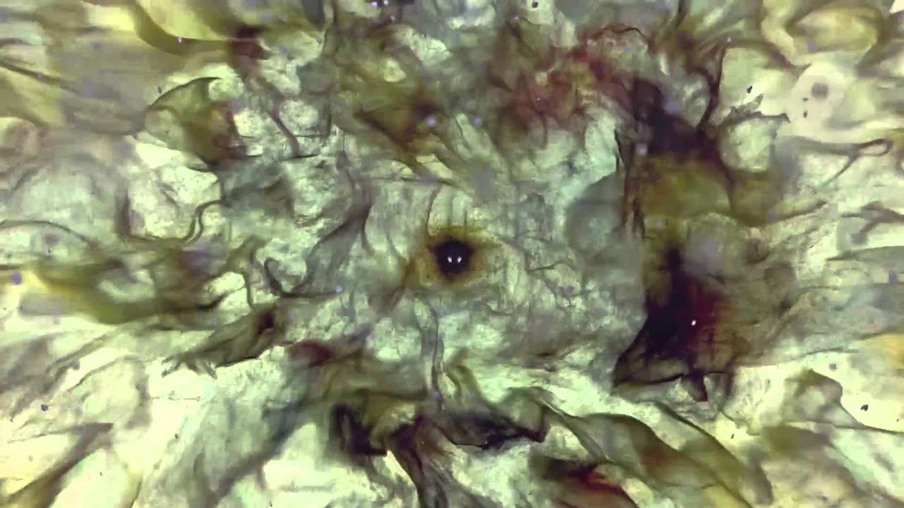 Philth feat. Collette Warren - Water (Official Video)