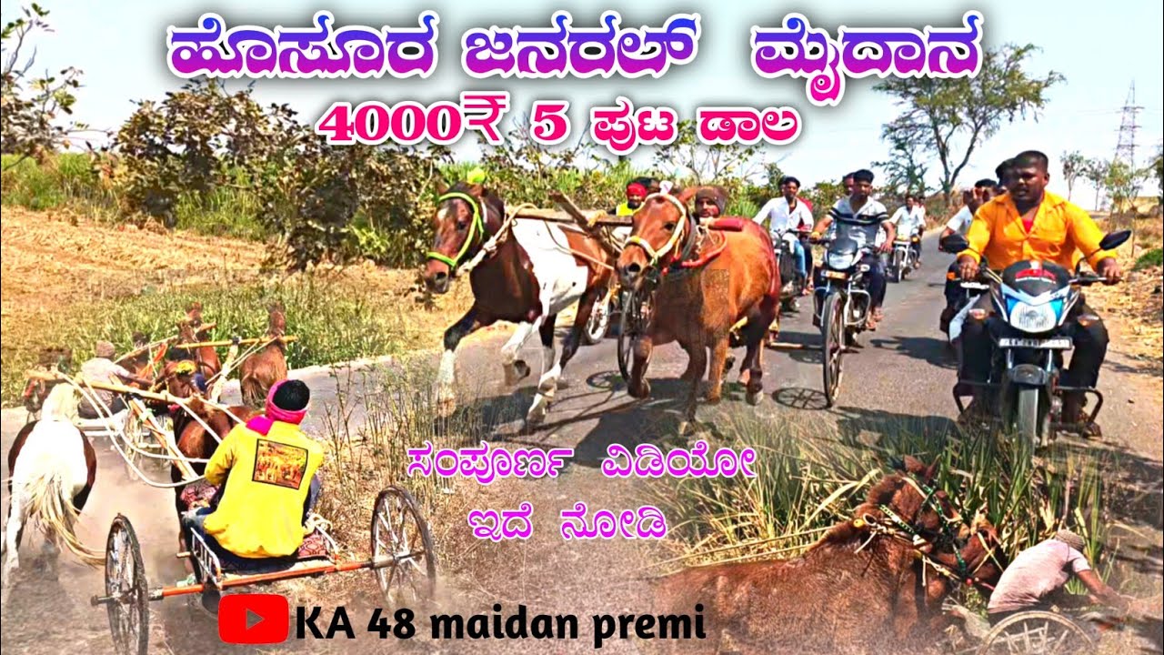ಹೊಸೂರ ಜನರಲ ಜೋಡು ಕುದುರೆ ಮೈದಾನ 🚩4000₹ 5 ಪುಟ ಡಾಲ🚩 horura janaral jodu kudure maidan #horse #horseriding