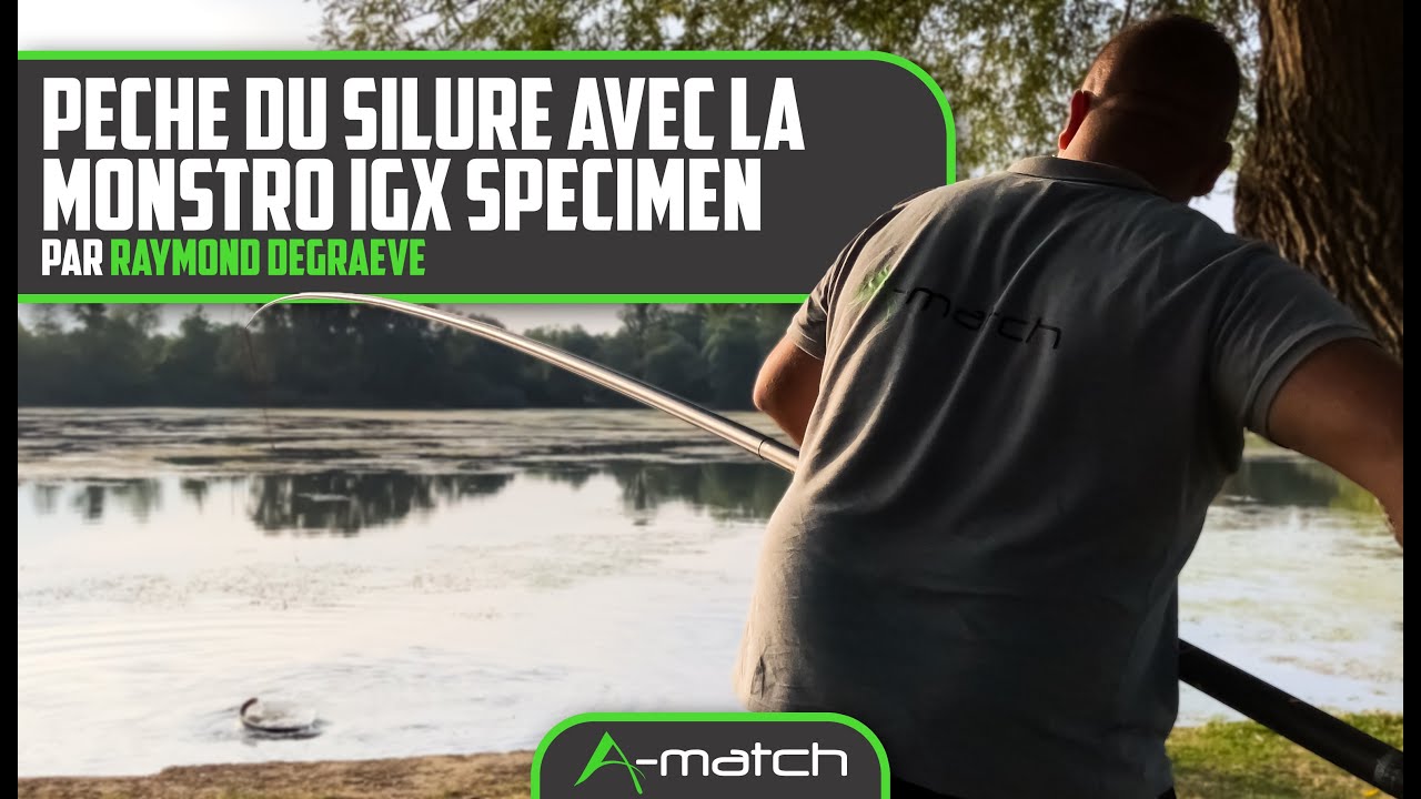 Pêche du silure au coup avec la Monstro IGX Specimen - A-match